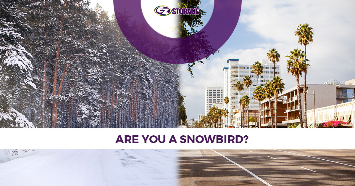 Split image with wintery forest and sunny street and palm trees with EZ Storage logo and text "Are You a Snowbird?"