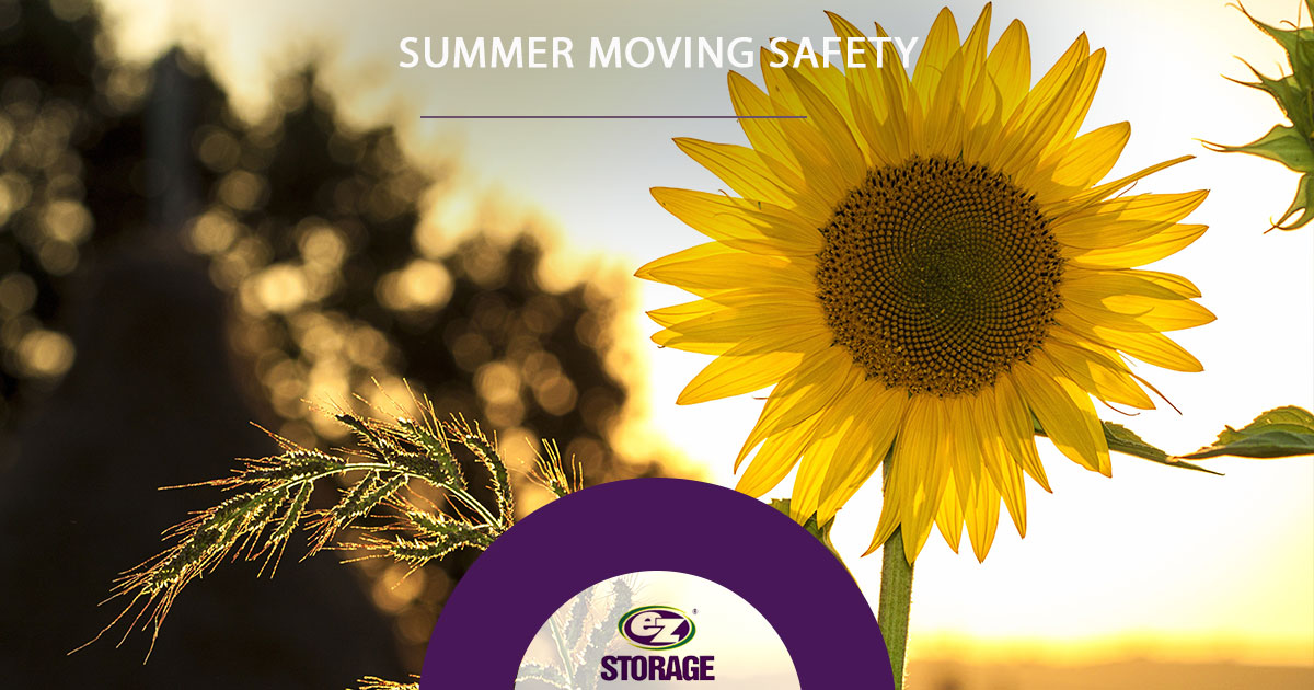 Close up of sunflower plant and text "Summer moving safety"