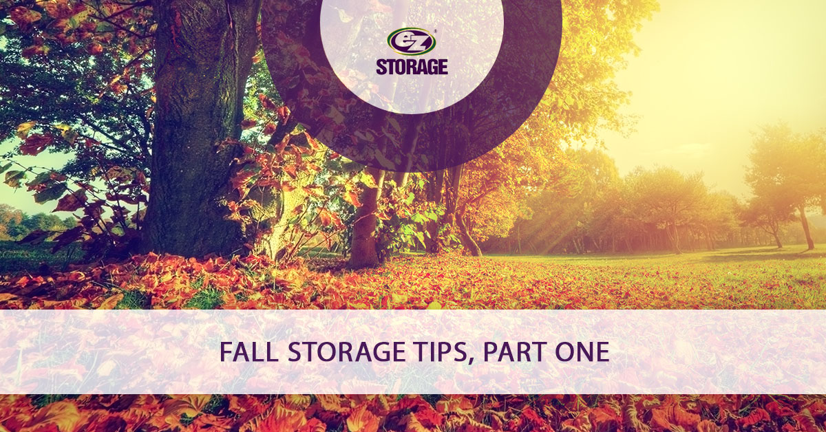 Field with trees during autumn season and text "Fall storage tips, part one"