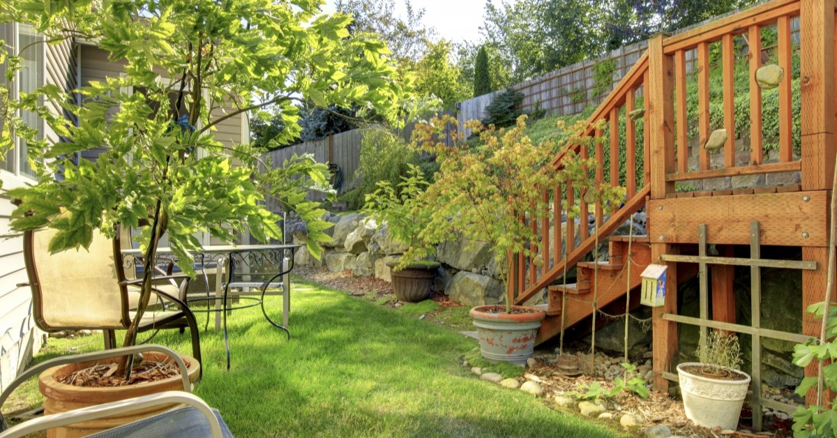 Backyard space during summer