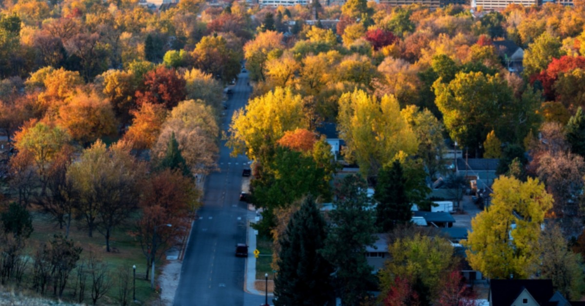 Aerial view of a neighborhood during autumn season